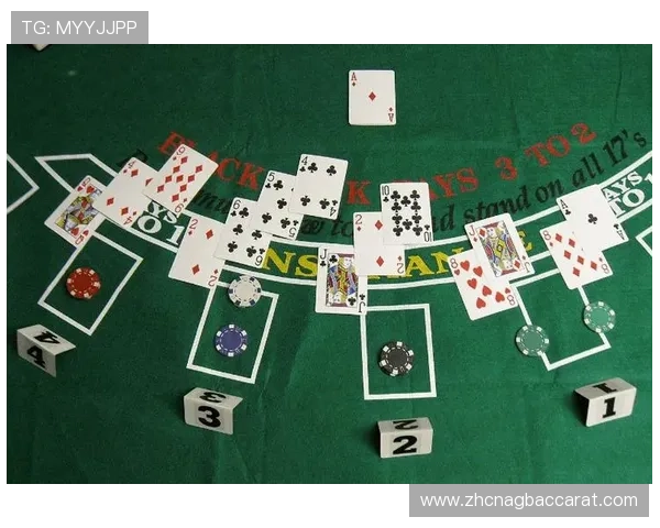 百家乐比赛视频完整版,专业解说带你感受刺激对决