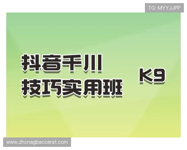 详细介绍K8真人官方直播平台的安全策略及用户隐私保护措施