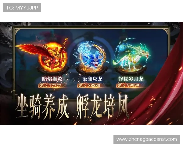 万利真人游戏排行全新更新，最受欢迎的真人游戏推荐指南帮助玩家轻松选择优质游戏